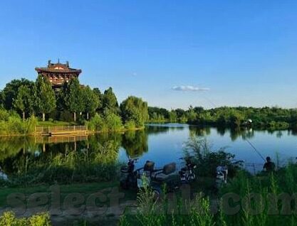 mk中国体育官网-MK中国体育官网，汇聚运动激情，引领健康生活新风尚